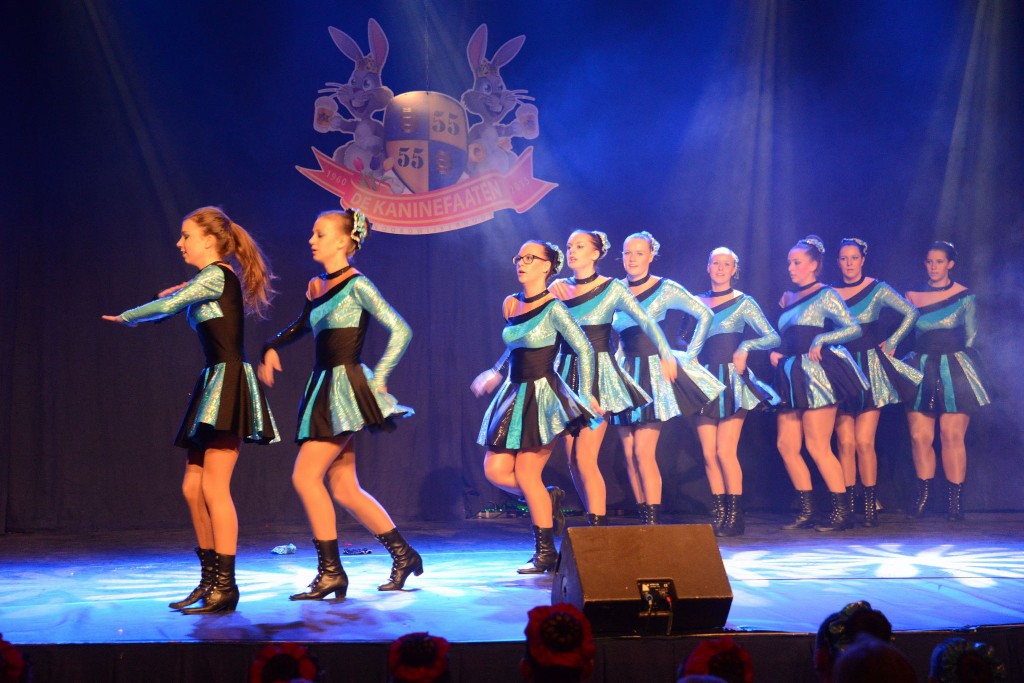 ../Images/Dansmarieke festival 2015 218.jpg